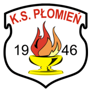 Płomień Przyprostynia Logo PNG Vector