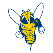 Rocky the Yellowjacket Logo PNG Vector