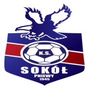 Sokół Pniewy Logo PNG Vector