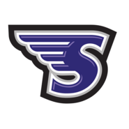 Stonehill Skyhawks Logo PNG Vector
