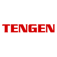 Tengen Logo PNG Vector