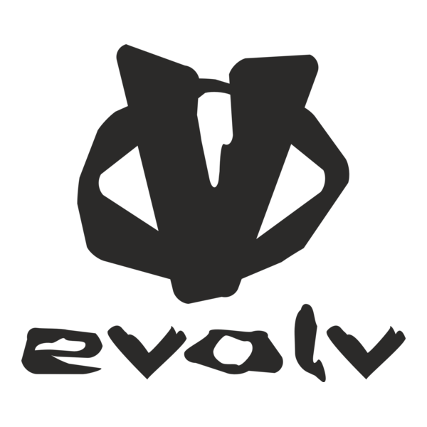 Evolv AI product features