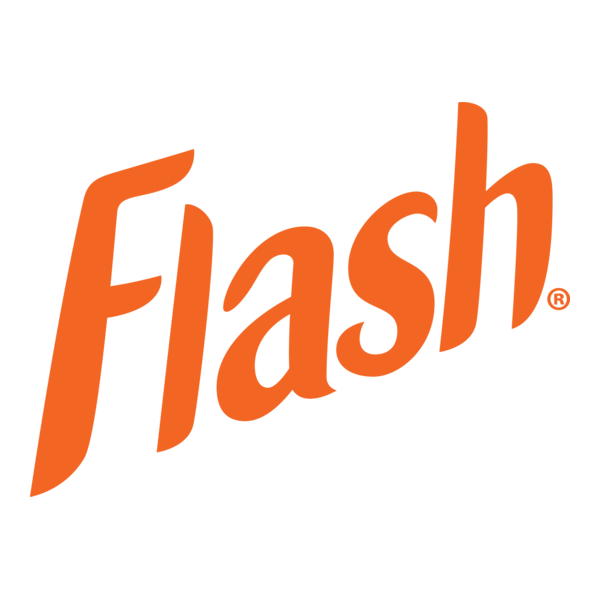 Flash Logo PNG Vector