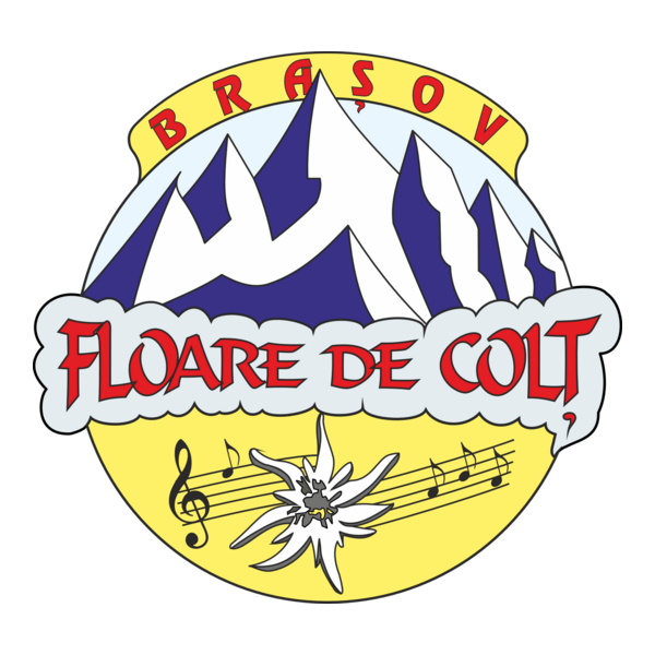 Floare de Colt Brasov Logo PNG Vector