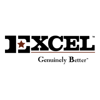 Excel Genuinely Better Logo PNG Vector