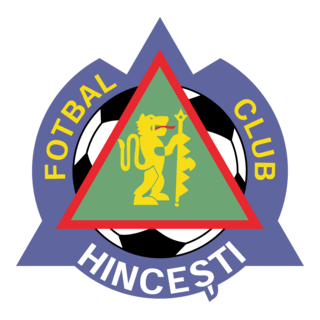 FC Hincesti Logo PNG Vector