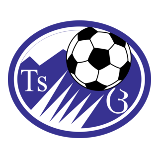 FC Tskhinvali Logo PNG Vector