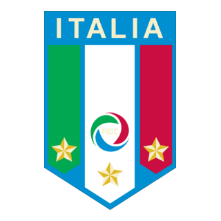 Federazione Italiana Gioco Calcio Logo PNG Vector