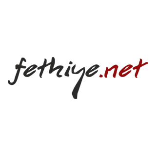 fethiye.net Logo PNG Vector
