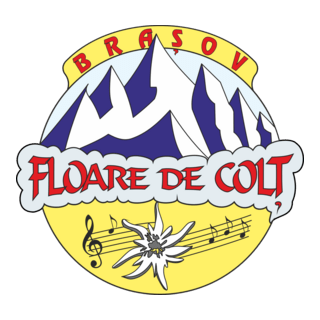 Floare de Colt Brasov Logo PNG Vector