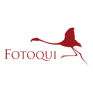 Fotoqui Logo PNG Vector