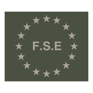 FSE Logo PNG Vector