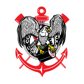 Gaviхes da Fiel Corinthias Logo PNG Vector