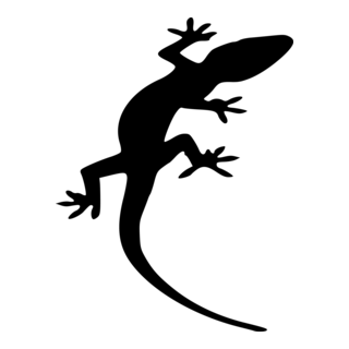gecko Logo PNG Vector