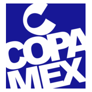 FAPSA Logo PNG Vector