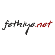 fethiye.net Logo PNG Vector