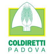 Flender Logo PNG Vector