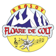 Floare de Colt Brasov Logo PNG Vector