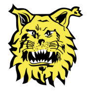 Football Club Ilves de Tampere Logo PNG Vector