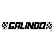 Galindo Logo PNG Vector