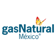Gas Natural México Logo PNG Vector