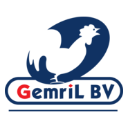 Gemril BV Logo PNG Vector