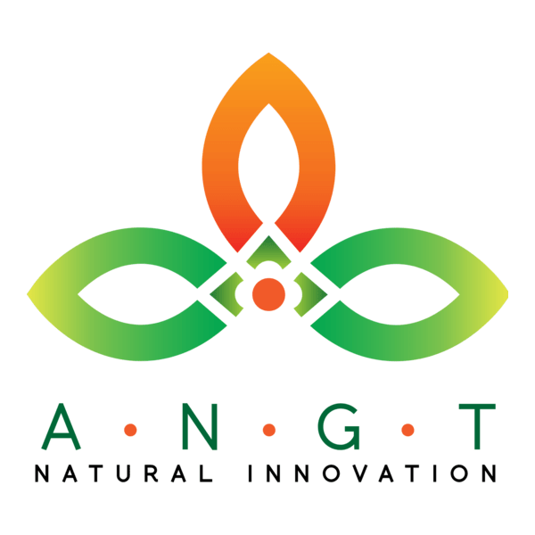 A.N.G.T Natural Innovation Logo PNG Vector