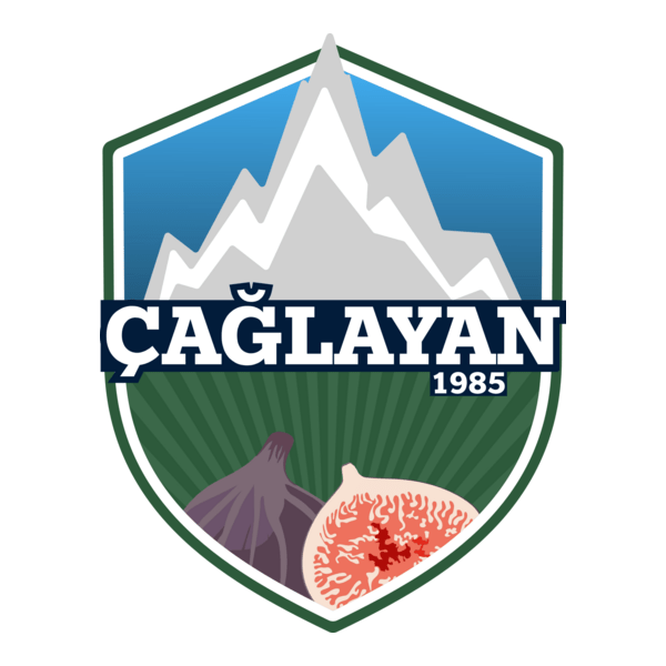 Çağlayanspor Logo PNG Vector