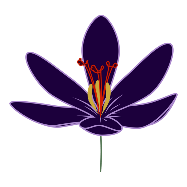 Crocus Blossom Logo PNG Vector