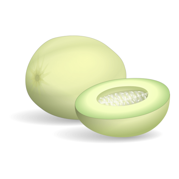 Honeydew Melon Logo PNG Vector
