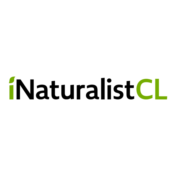 INaturalist Chile Logo PNG Vector