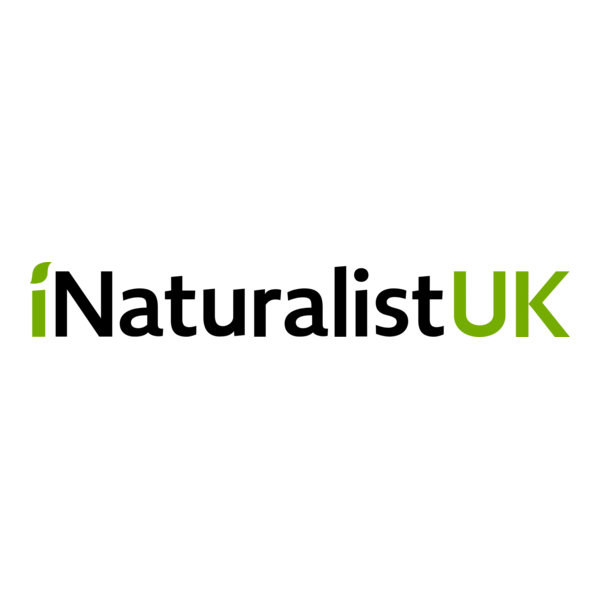 INaturalist UK Logo PNG Vector