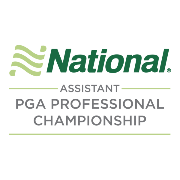 National Car Rental Assistant Logo PNG Vector