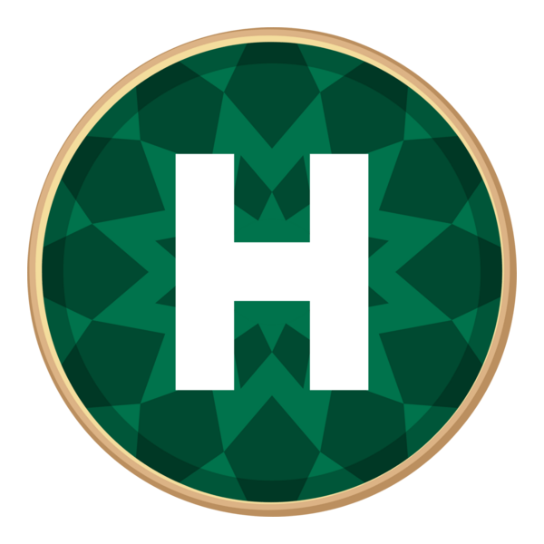 Novy Kanal Logo PNG Vector