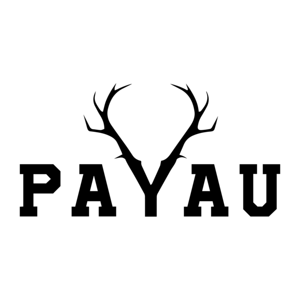 PAYAU Logo PNG Vector