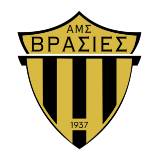 AMS Vrasies Logo PNG Vector