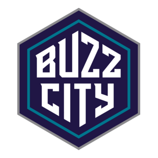 Charlotte Hornets Logo PNG Vector