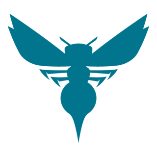 Charlotte Hornets Logo PNG Vector