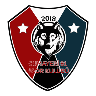 Cumayeri 81 Spor Logo PNG Vector