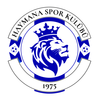 Haymanaspor Logo PNG Vector