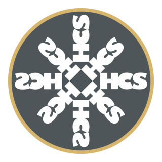 Home Cinema Systems Co. (HCS) Logo PNG Vector