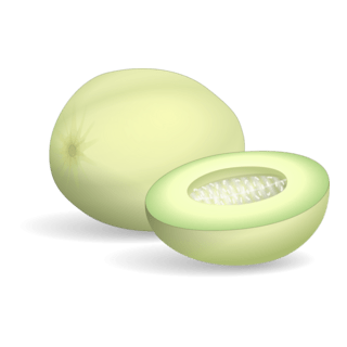 Honeydew Melon Logo PNG Vector