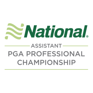 National Car Rental Assistant Logo PNG Vector