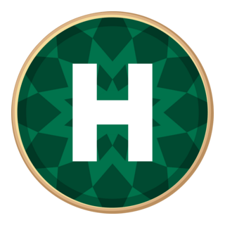 Novyi kanal Logo PNG Vector