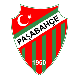 Paşabahçe Spor Logo PNG Vector