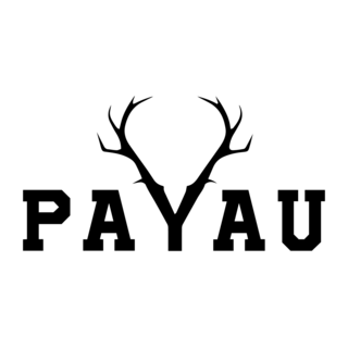 PAYAU Logo PNG Vector