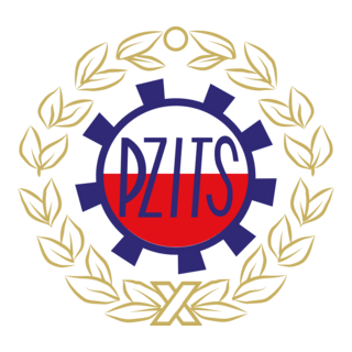 PZITS Logo PNG Vector