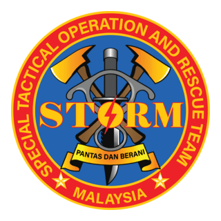 STORM MALAYSIA Logo PNG Vector