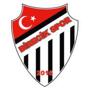Birecikspor Logo PNG Vector