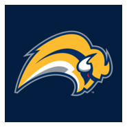 Buffalo Sabres 2006-2010 Logo PNG Vector